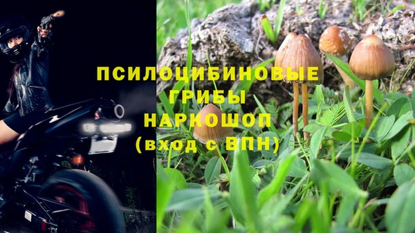 бутират Нязепетровск