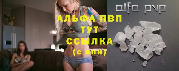 гашик Нягань