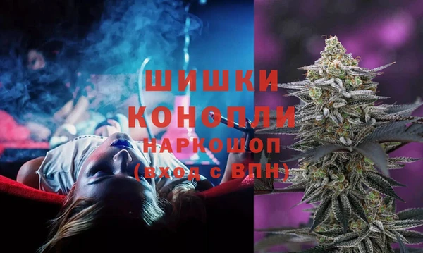 МДПВ Горняк