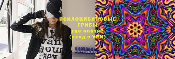гашик Нягань