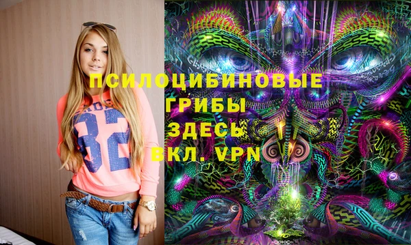 гашик Нягань