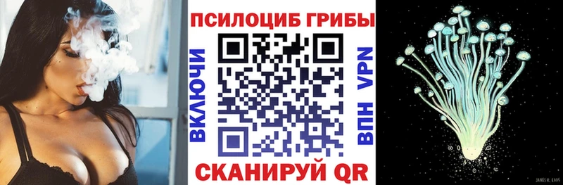 blacksprut сайт Кораблино Галлюциногенные грибы GOLDEN TEACHER